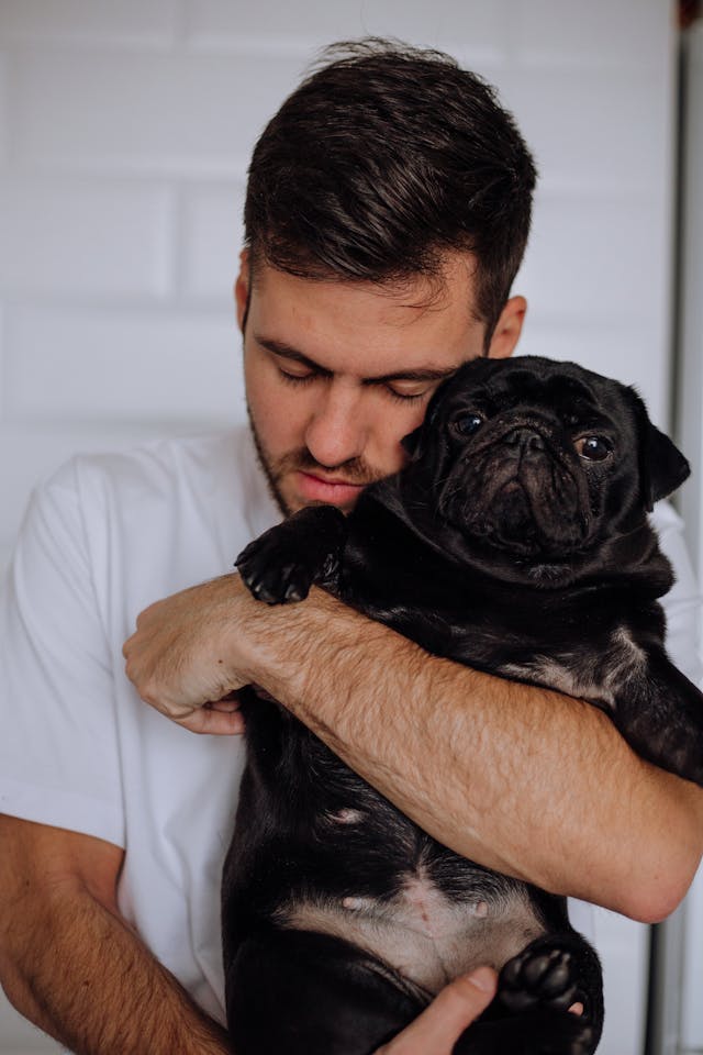 Dog Allergies Energy Healing