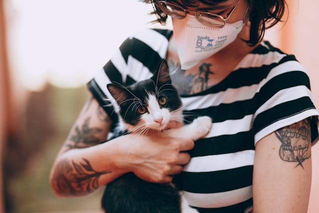 Cat Allergies Energy Healing