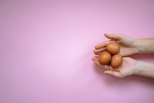 Egg Sensitivity Energy Healing